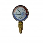 Манометры с термометром ДМТ купить